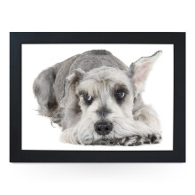 Portable Lap Desk Tray (Schnauzer Dog) Handmade Wooden Frame, Beanbag Cushioned Bottom | Computers, Laptops, Meals, Food | L0146 Black
