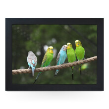 Portable Lap Desk Tray (Budgies On A Rope) Handmade Wooden Frame, Beanbag Cushioned Bottom | Computers, Laptops, Meals, Food | L0175 Black