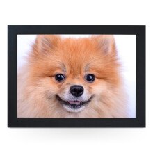 Portable Lap Desk Tray (Pomeranian Dog Close Up) Handmade Wooden Frame, Beanbag Cushioned Bottom | Computers, Laptops, Meals, Food | L0200 Black