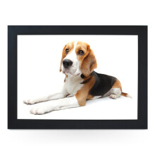 Portable Lap Desk Tray (Beagle Dog) Handmade Wooden Frame, Beanbag Cushioned Bottom | Computers, Laptops, Meals, Food | L0158 Black
