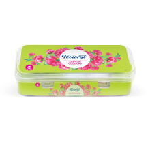 Pidilite Fevicryl Acrylic Colors, Sunflower Kit, 10 Shades