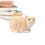 Cat Butt Tissue Holder - Tabby Square Box Cover- Cute Bathroom Accessories A 3