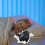 Cat Butt Tissue Holder - Tabby Square Box Cover- Cute Bathroom Accessories A 9