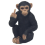 Cheeky Monkey Resin Decorative Monkey Ornament 1