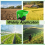Handheld Spreader Planting Tool, Reusable Garden Supplies Spreader 5