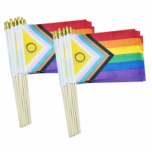 50 stuks Intersekse Progress Gay Pride Stick Flag 5x8 inch