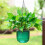 Pacote com 2 vasos de flores suspensos com autoirrigação para ambientes internos, 6,5 polegadas, verde esmeralda 4