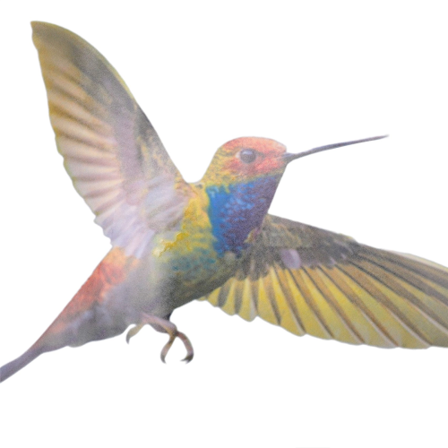 6 Pcs Large Size Bird Clings Anti-Collision Window Clings 2