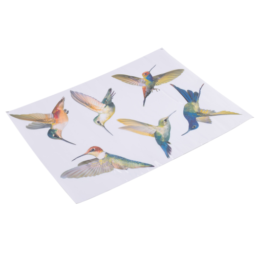 6 Pcs Large Size Bird Clings Anti-Collision Window Clings 1