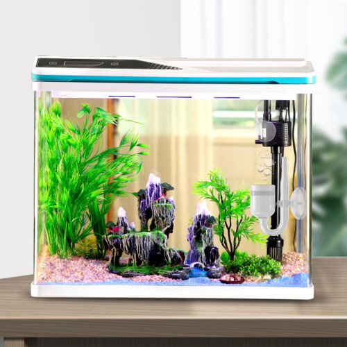 Akvarium CO2-diffusor med keramisk skiva + 2 sugkoppar 1