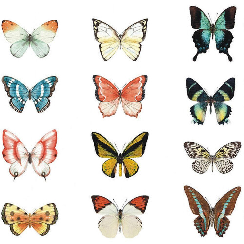 (As show, One size) 12pcs Alert Bird Window Decal Static Window Clings Removable Window Decals