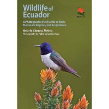 Wildlife of Ecuador by Andres Vasquez Noboa Paperback Book