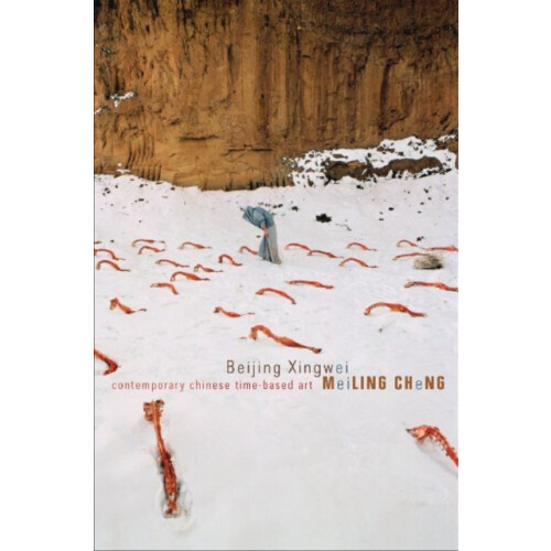 Beijing Xingwei by Meiling Cheng Paperback Book
