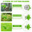 21V Cordless Strimmer Grass Trimmer Tree Cutter Garden Edger 2Batteries 4
