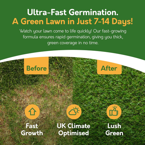 Pronto Seed Premium Grass Seed 1.4 kg - Fast Growing, Hard-Wearing 2