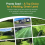 Pronto Seed Premium Grass Seed 1.4 kg - Fast Growing, Hard-Wearing 4