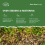 Pronto Seed Premium Grass Seed 1.4 kg - Fast Growing, Hard-Wearing 5