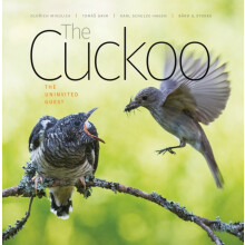 The Cuckoo by Bard G. Stokke Hardcover Book