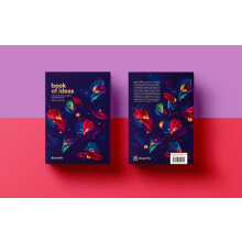 Book of Ideas by Radim Malinic Paperback Book
