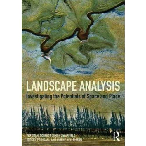 Landscape Analysis by Vibeke Nellemann Paperback Book