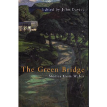 The Green Bridge by John Davies Paperback Book