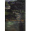 The Green Bridge by John Davies Paperback Book 1