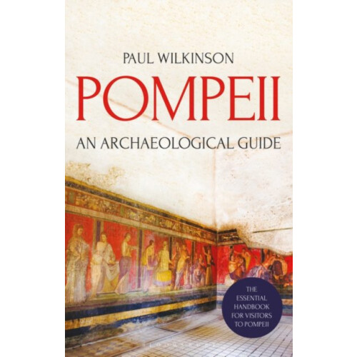 Pompeii by Paul Wilkinson Paperback Book