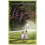 The Legacy by Katherine Webb Paperback Book 1