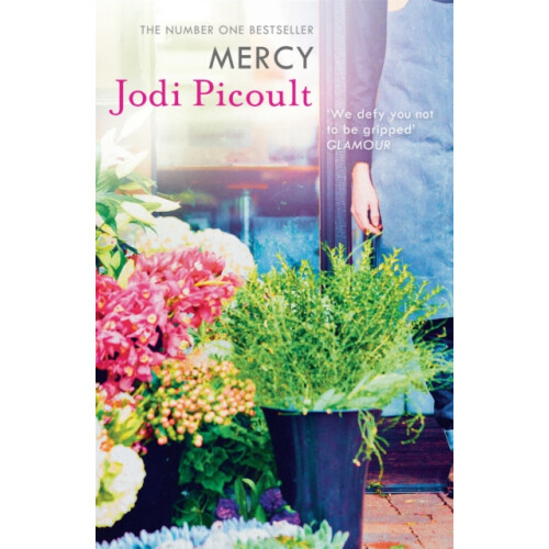 Mercy by Jodi Picoult Paperback Book