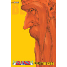 Bleach 3in1 Edition Vol. 20 by Tite Kubo Paperback Book