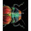 Microsculpture by Levon Biss Hardcover Book 1