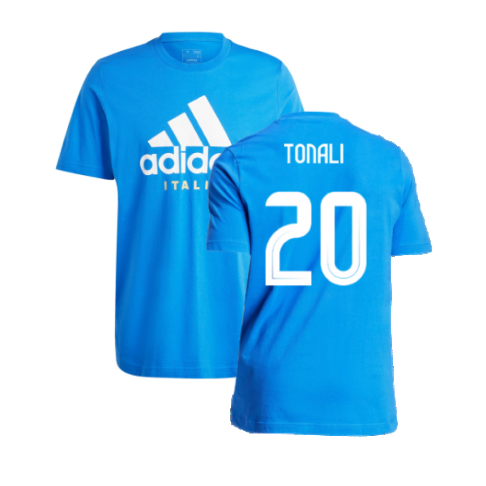 Adidas (M) 2024-2025 Italy Dna Graphic Tee (Blue) (Tonali 20) Blue