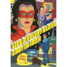 Like a Velvet Glove Cast in Iron by Daniel Clowes Paperback Book