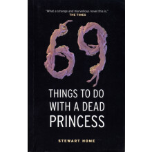 69 Things To Do With A Dead Princess by Stewart Home Paperback Book