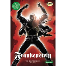 Frankenstein The Graphic Novel by Mary Shelley Other Book