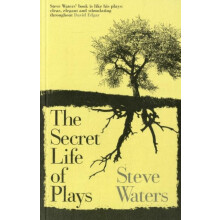 The Secret Life of Plays by Steve Waters Paperback Book
