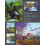 Painting Landscapes in Oils by Robert Brindley Paperback Book 1