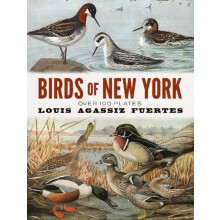 Birds of New York by Louis Agassiz Fuertes Paperback Book
