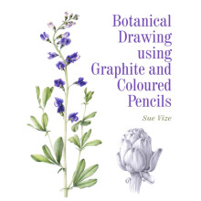 Botanical Drawing using Graphite and Coloured Pencils by Sue Vize Pape