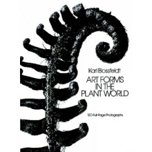 Art Forms in the Plant World by Karl Blossfeldt Paperback Book