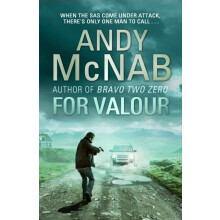 For Valour by Andy McNab Paperback Book