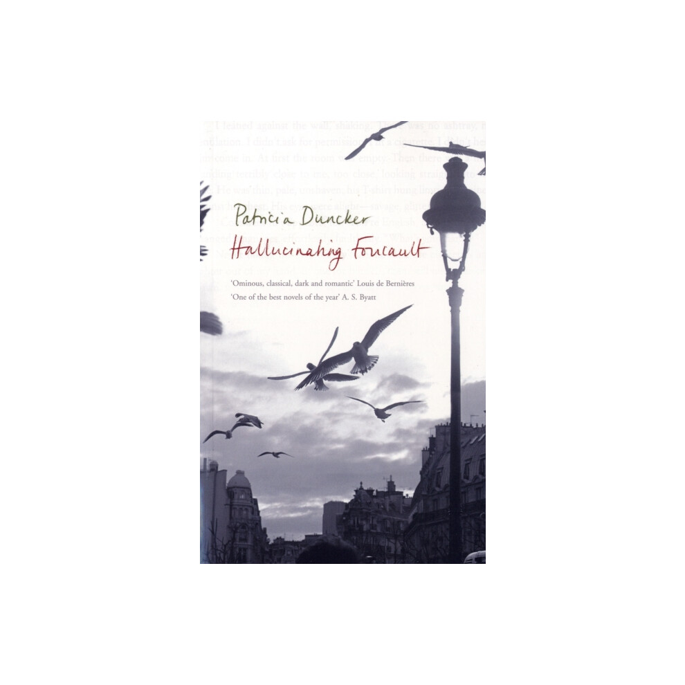 Riachristiecollections Hallucinating Foucault By Patricia Duncker Paperback Book