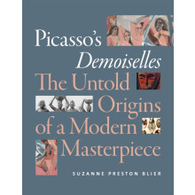 Picassos Demoiselles by Suzanne Preston Blier Paperback Book