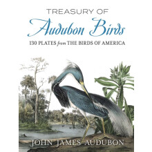 Treasury of Audubon Birds by John James Audubon Paperback Book
