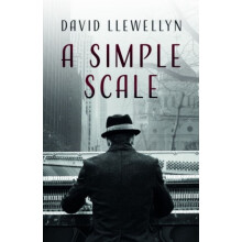 A Simple Scale by David Llewellyn Paperback Book