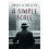 A Simple Scale by David Llewellyn Paperback Book 1
