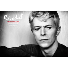 Ricochet by Denis ORegan Hardcover Book