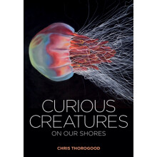 Curious Creatures on our Shores by Chris Thorogood Hardcover Book