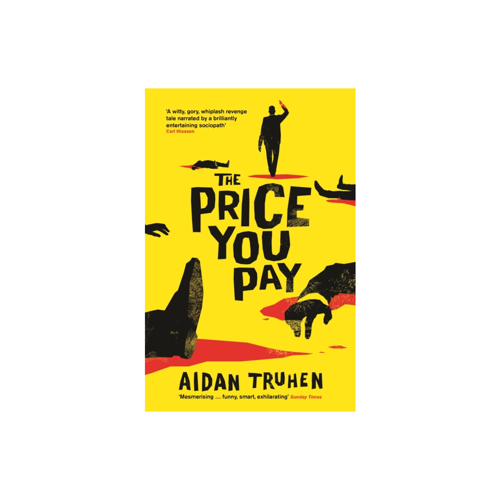 The Price You Pay by Aidan Truhen Paperback Book