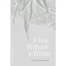 A Year Without a Winter by Dehlia Hannah Paperback Book